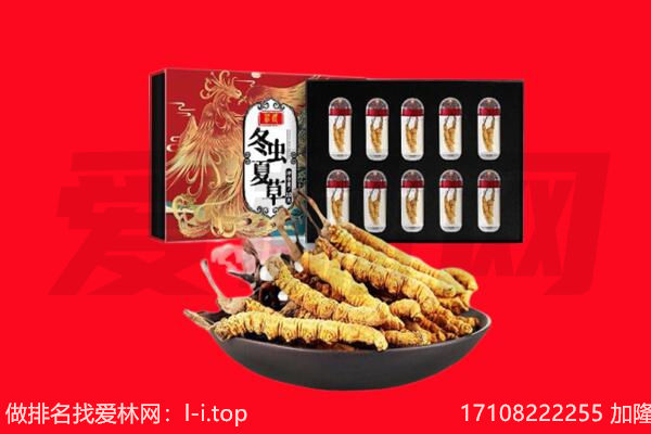 奈曼旗回收虫草.jpg